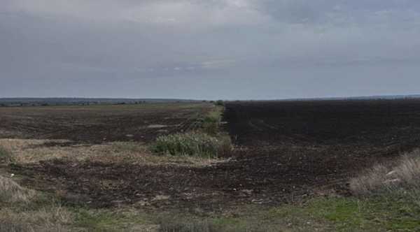 На Миколаївщині соняшником та ячменем засіяли осушені водойми