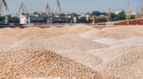 МЗС пообіцяло реагувати на судна, що перевозять викрадене зерно до Єгипту та&hellip;