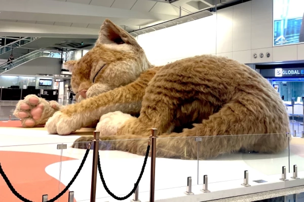 Гігантський "Кетзілла" оживив мем в аеропорту Гонконга 10