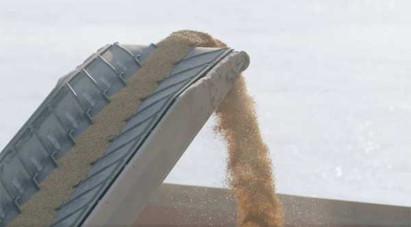 За три місяці порти перевантажили 11,6 мільйона тонн зернових.