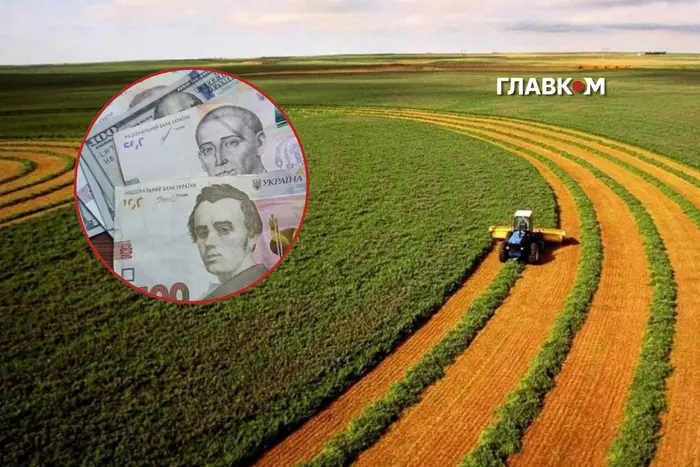 Вартість гектара землі у 2026 році: регіональні показники 3