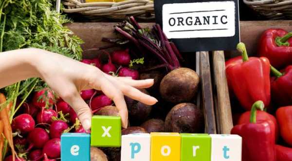 Україна демонструє стабільне зростання експорту органічних продуктів.