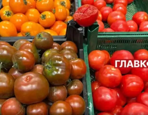 В Україні падають ціни на помідори: вартість та чинник зниження
