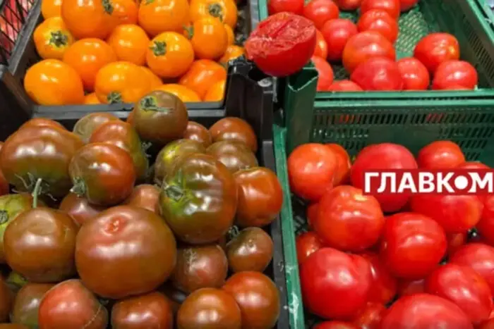 В Україні падають ціни на помідори: вартість та чинник зниження