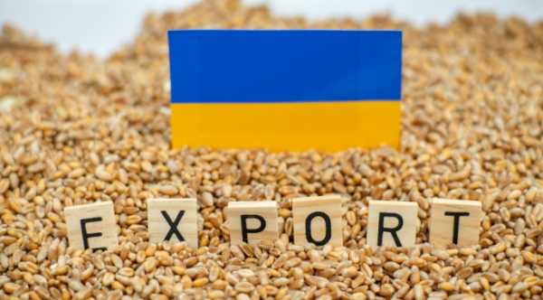 Заголовки українських портів страждають від атак, що призводить до скорочення експорту зерна на третину. 17 Заголовки українських портів страждають від атак, що призводить до скорочення експорту зерна на третину. 15