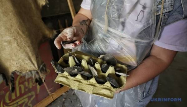 В Одесі стартував проєкт з експериментальної археології 8
