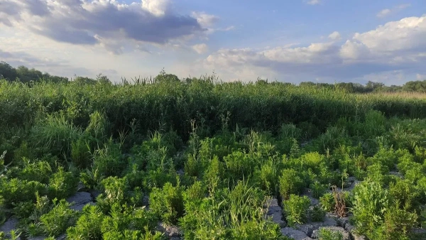 Річниця знищення Каховської ГЕС: вплив лиха на південь України 11