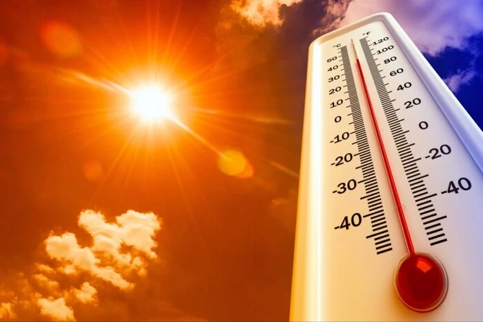 У Польщі зафіксовано рекордну спеку: температура сягнула 40,5°C 15 У Польщі зафіксовано рекордну спеку: температура сягнула 40,5°C 7