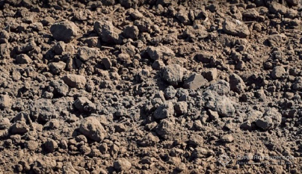Drought also affects the soil microbiome: it loses its ability to retain nutrients Drought also affects the soil microbiome: it loses its ability to retain nutrients