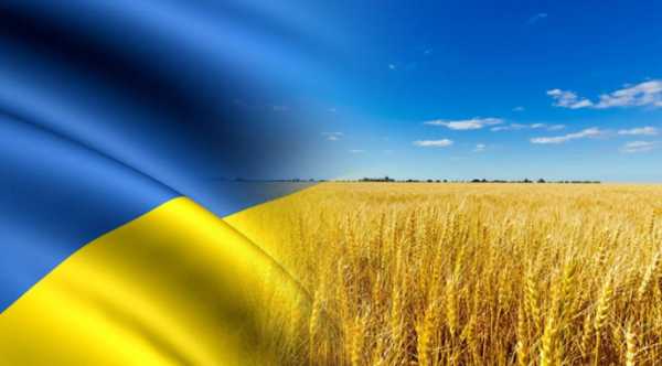 ЧАС НОВИН в Україні 32 Українські компанії відправили за кордон близько 37,5 мільйонів тонн зернових.