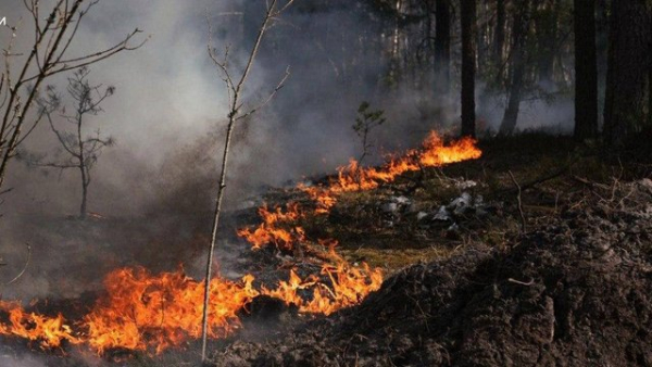 Займання в зоні відчуження Чорнобильської АЕС не припиняється, пожежники стримали головні вогнища, радіаційний фон у нормі – Держслужба з надзвичайних ситуацій