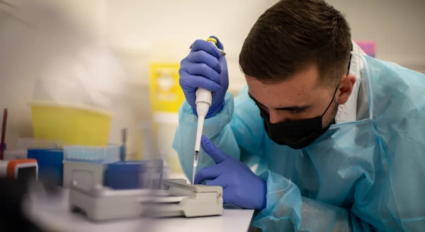 Австралія зафіксувала перше зараження H5N1 у місцевого морського птаха