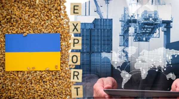 За перший місяць сезону 2,6 мільйона тонн зерна відправлено на експорт. 13