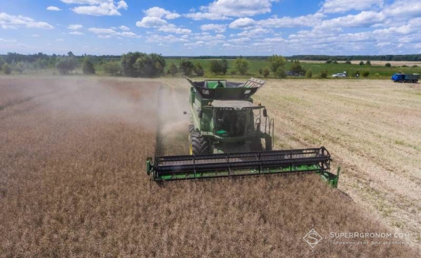Ріпак в Україні зібрано майже на 540 тис. га: названо провідні області за обсягами збору