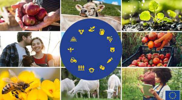 Європейські норми виробництва сільськогосподарської продукції невпинно перетворюються на глобальний орієнтир.