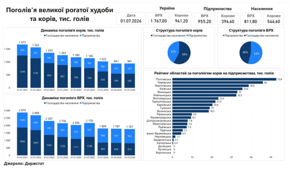 Промисловий сектор збільшує кількість корів, незважаючи на загальне скорочення в Україні — КУРКУЛЬ 4