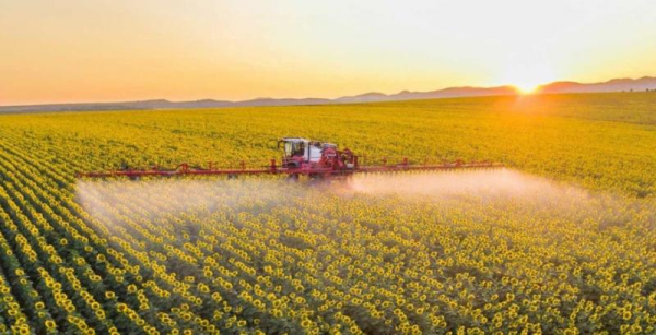 Ukravit радить застосовувати ад'юванти при мінливій погоді — КУРКУЛЬ 5