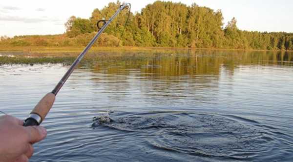Територіальні громади знову отримали повноваження керувати водними об’єктами