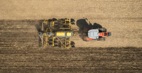 Вплив різних методів обробітку ґрунту на кореневу систему ріпаку: практичні спостереження — КУРКУЛЬ