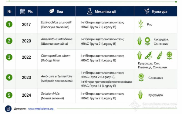 Амброзія демонструє зростаючу стійкість до гербіцидів: фахівці попереджають про небезпеку — SuperAgronom.com 2 Офіційно зареєстровані випадки стійкості бур'янів в Україні