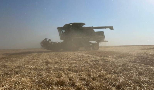 ЧАС НОВИН в Україні 38 Зернова врожайність на Херсонщині на даний момент перевищує 5 т/га,…