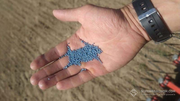 Агрохолдинги розпочали осінню посівну кампанію, засіваючи ріпак для врожаю 2027 року — SuperAgronom.com 1