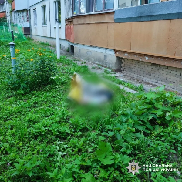Трирічна дитина померла, випавши з п'ятого поверху у Харкові. 6