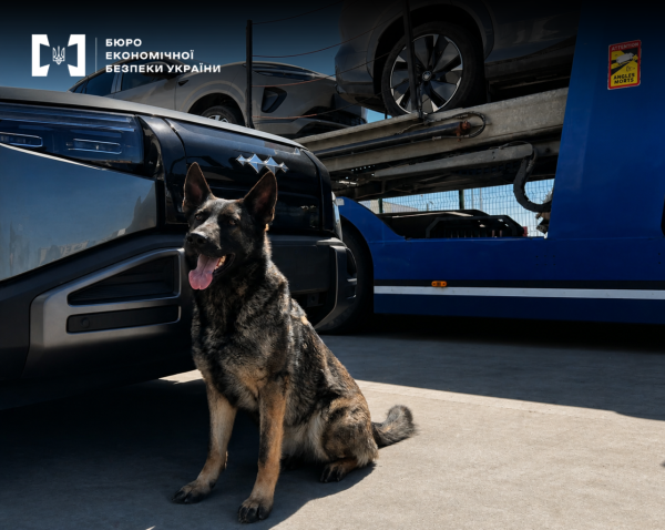 Судовий процес розпочато у справі про імпорт електромобілів BYD за заниженою вартістю на 4 мільйони гривень, яку ініціювали БЕБ та ДМС. 2 Судовий процес розпочато у справі про імпорт електромобілів BYD за заниженою вартістю на 4 мільйони гривень, яку ініціювали БЕБ та ДМС. 2