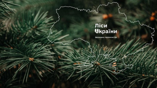 “Телент Едвайзорс” здобула перемогу у відборі на посаду рекрутера для пошуку генерального директора ДП “Ліси України”