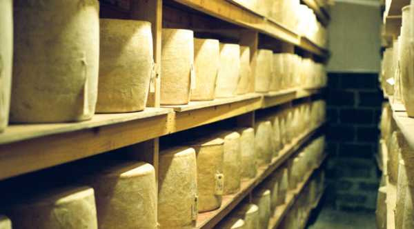 Українські виробники сиру змушені зменшувати обсяги випуску продукції через наплив імпортних товарів