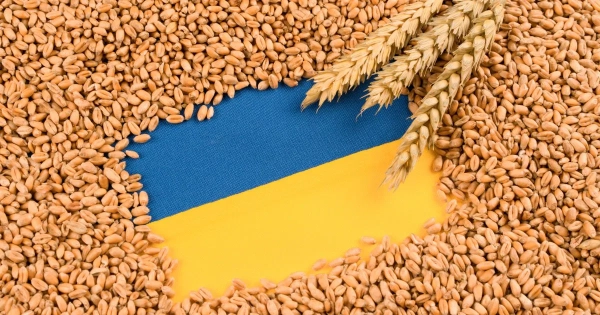 Зеленський оголосив про модернізацію плану безпеки експорту зерна