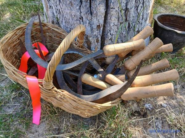 «Зажинки»: перші зібрані з поля колоски відклали на різдвяний дідух 19