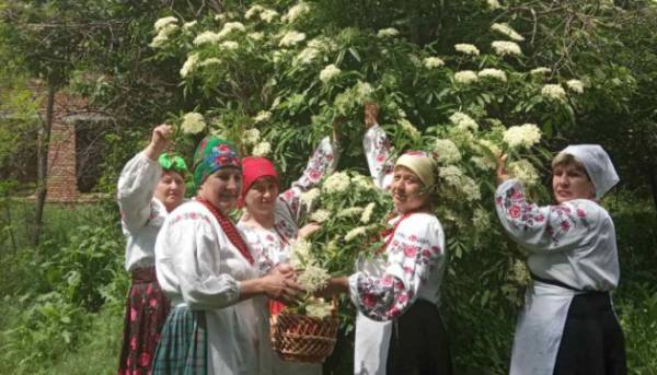 На городі бузина - на столі бузинник 12 На городі бузина - на столі бузинник 12