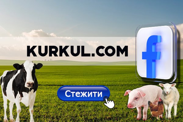 Мінімальна прибуткова вартість малини – 150 гривень за кілограм, каже аграрій – КУРКУЛЬ 3