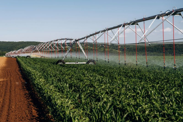 SuperAgronom.com: Контінентал запроваджує крапельний полив на полях Тернопільщини