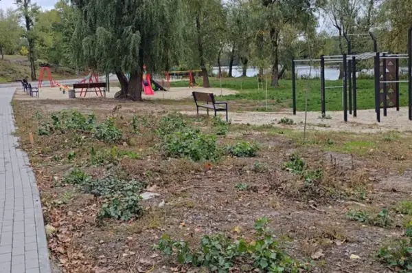 На ремонті зони відпочинку біля озера Вербне виявили переплату понад пів мільйона гривень 4 На ремонті зони відпочинку біля озера Вербне виявили переплату понад пів мільйона гривень 4