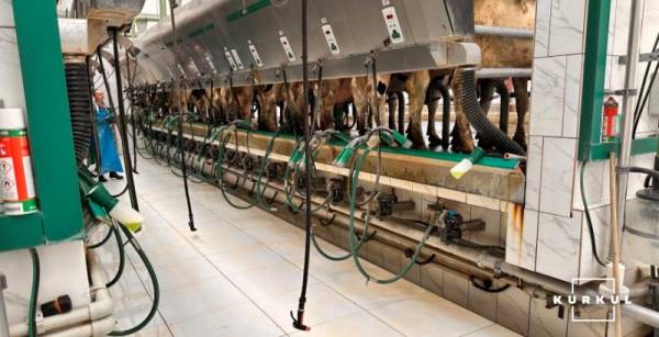 Credit Agricole спрямовує кредитування молочних ферм на автоматизацію