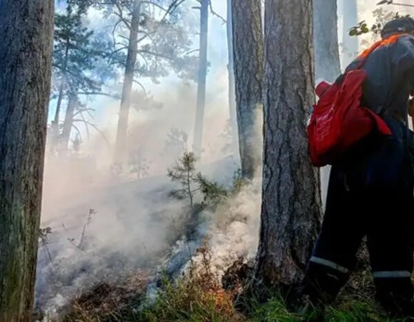 На Ялту насувається масштабний лісовий вогонь