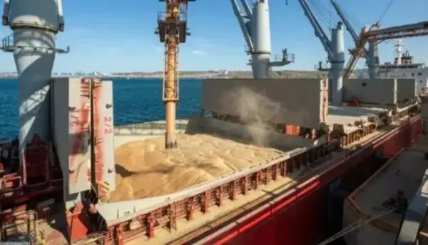 Український експорт зерна зупинився: морський коридор не працює