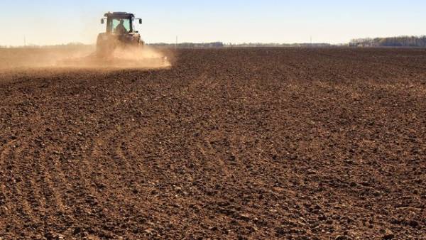 Уряд компенсує аграріям збитки за втрачені через війну посіви