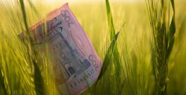 Уряд полегшив аграріям доступ до кредитів “5-7-9%” для посівної