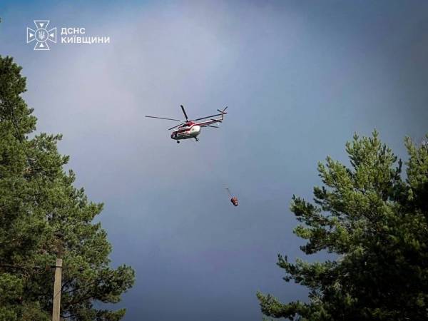 На Київщині гасять масштабну лісову пожежу залучивши авіацію та рятувальників з інших областей 8 На Київщині гасять масштабну лісову пожежу залучивши авіацію та рятувальників з інших областей 8