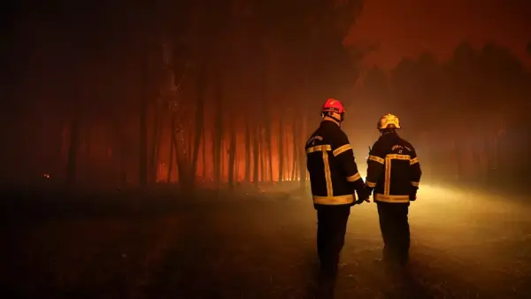 Франція: понад 470 затриманих через лісові підпали з початку липня