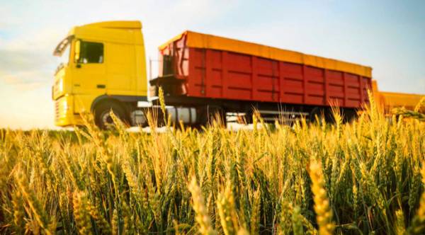 Автоагроекспорт України майже на 9% наростив обсяги