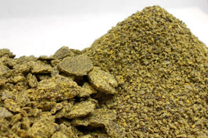 Китай став найбільшим імпортером українського ріпакового шроту