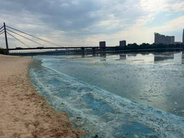 Дніпро став зеленішим: КМДА пояснює причини зміни кольору води