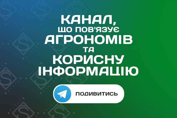 Кукурудза втратила в ціні ще 1000 грн/т: аналітики визначили ключові фактори — SuperAgronom.com 3