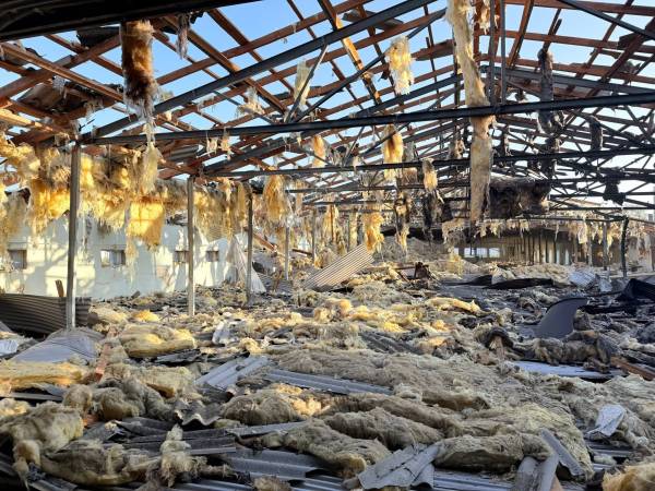 Росія знищила пташник “Щасливе курча” на 20 тисяч голів птиці