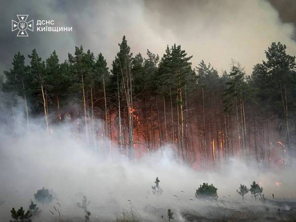На Київщині гасять масштабну лісову пожежу залучивши авіацію та рятувальників з інших областей 10 На Київщині гасять масштабну лісову пожежу залучивши авіацію та рятувальників з інших областей 10