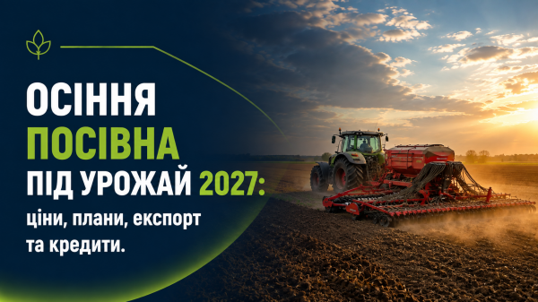 Одещина зібрала понад 100 тонн цибулі з гектара: секрети аграрія 2